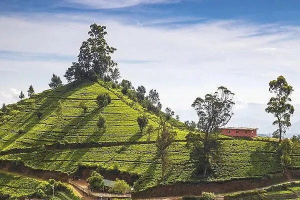 Green Mount View Two Bed Room Apartment Nuwara Eliya 0*,  Sri Lanka