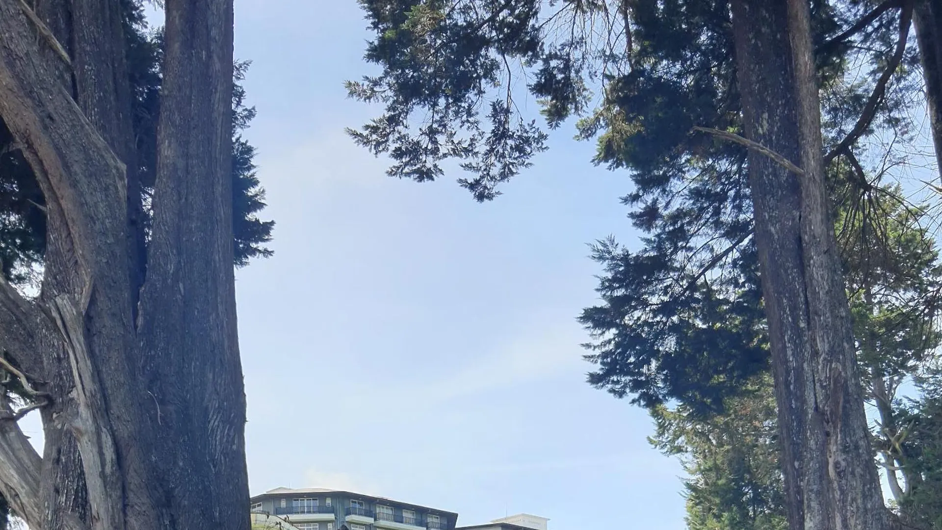 Green Mount View Two Bed Room Apartment Nuwara Eliya