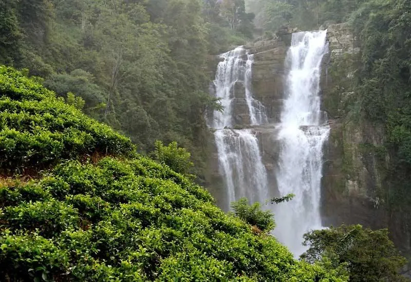 Green Mount View Two Bed Room Apartment Nuwara Eliya