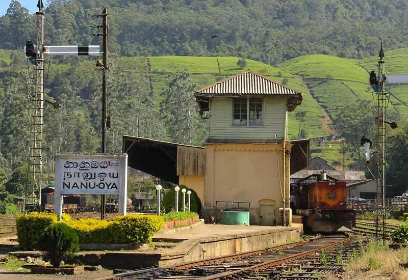 Green Mount View Two Bed Room Apartment Nuwara Eliya