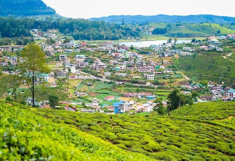 Green Mount View Two Bed Room Apartment Nuwara Eliya 0*,