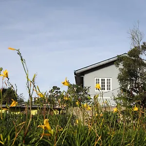Privatunterkunft Pedro View, Nuwara Eliya